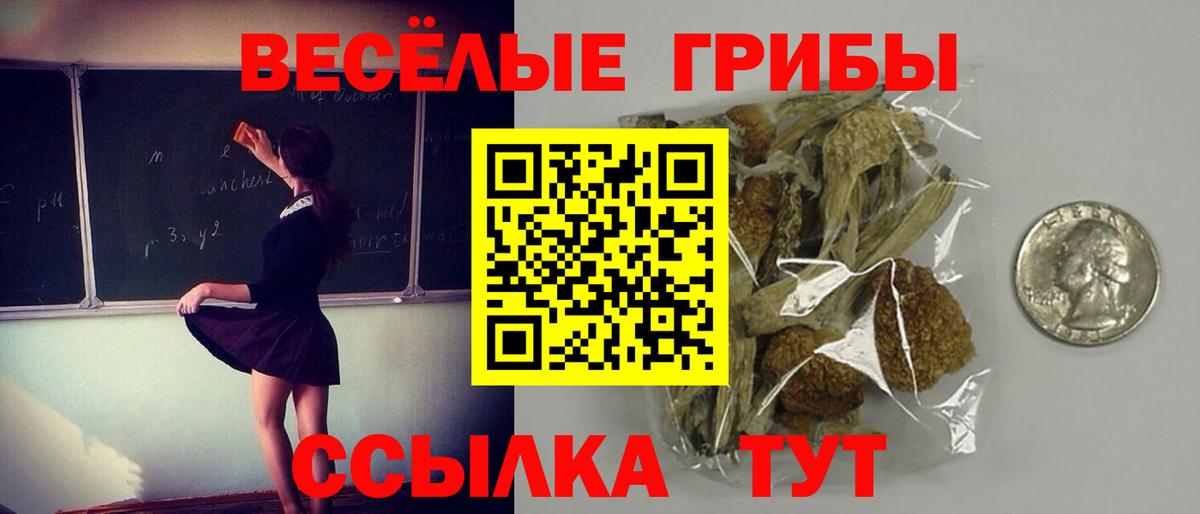 Ростов Великий  Галлюциногенные грибы ЛСД  Вход с VPN 